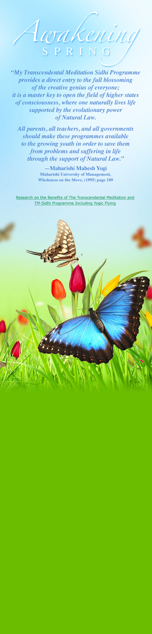Awakening Spring
